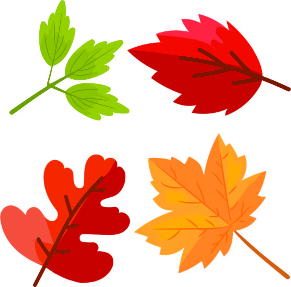 10 Best Printable Leaf Pattern Template Printablee