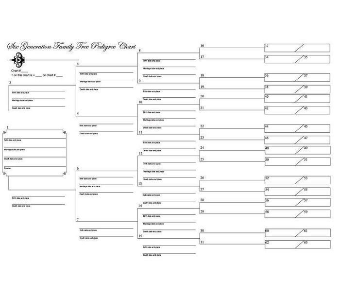 10 Generation Family Tree Template Excel Ideal 40 Free Family Tree