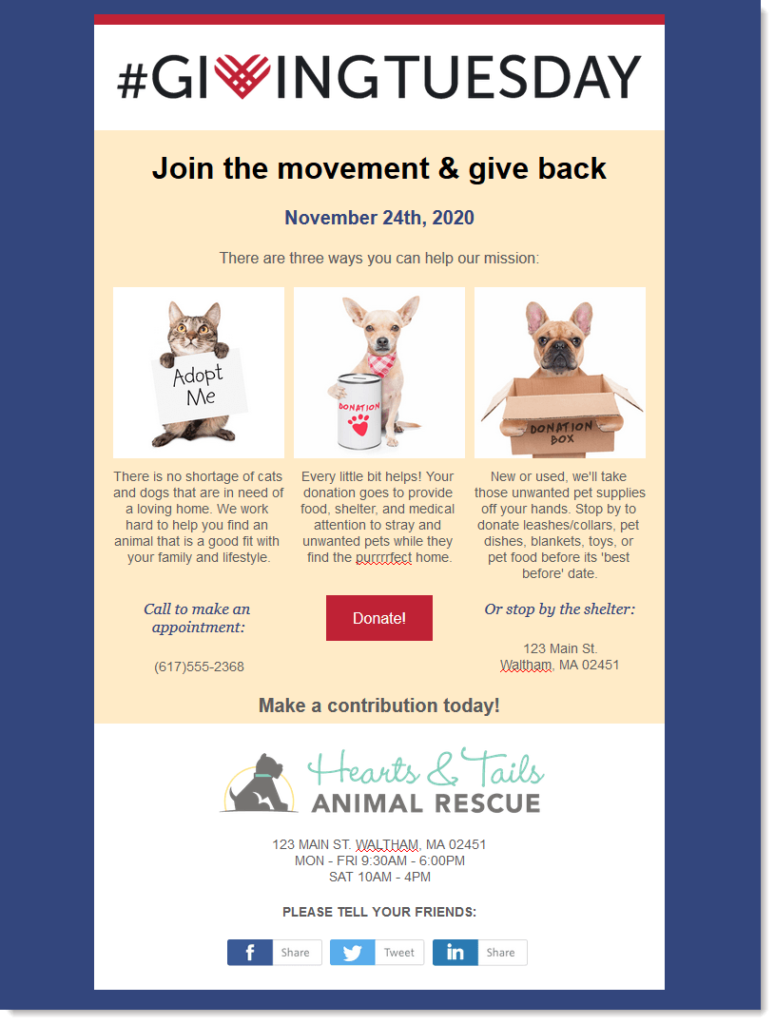 6 Steps To A Successful Giving Tuesday Email Examples 