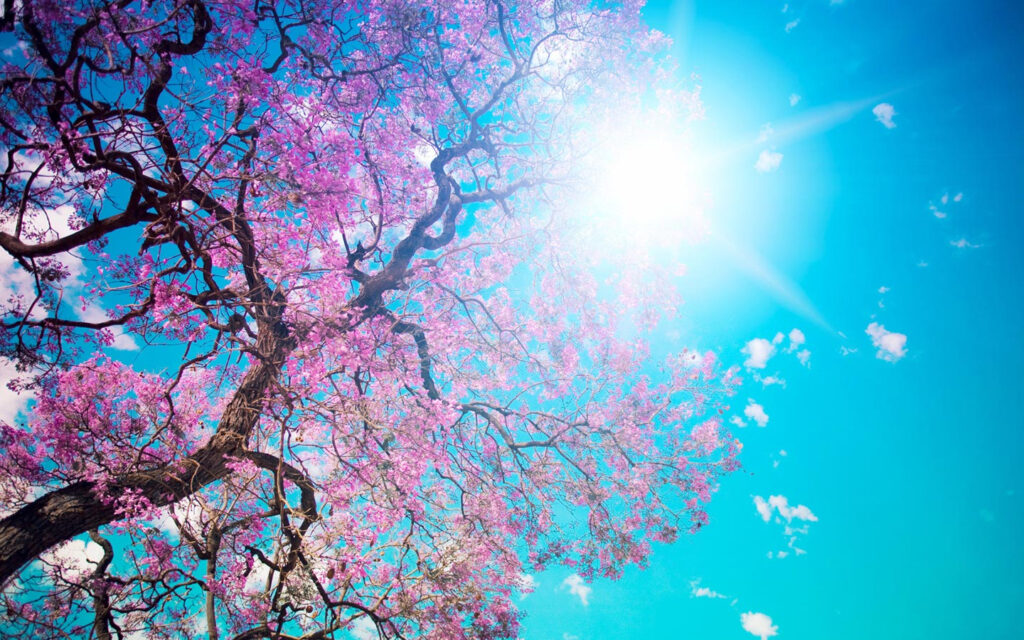 Beauty Spring Free PPT Backgrounds For Your PowerPoint Templates