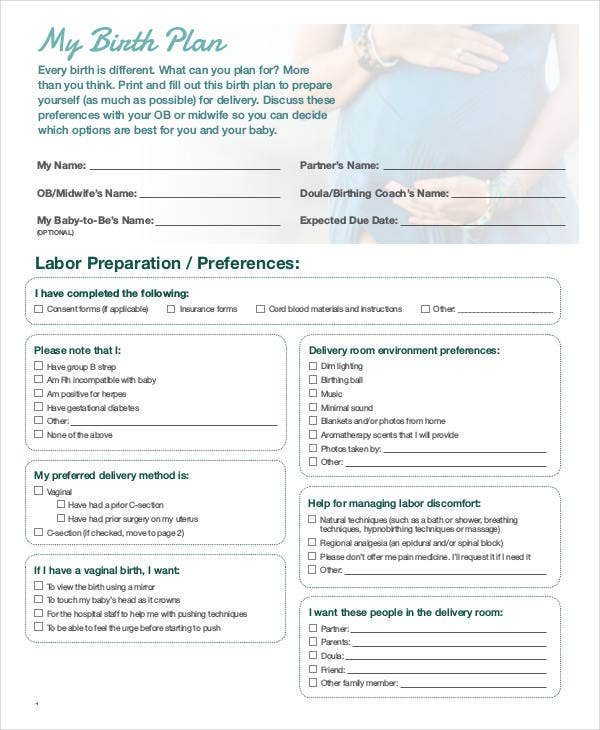 Birth Plan Template 17 Free Word PDF Documents Download Free