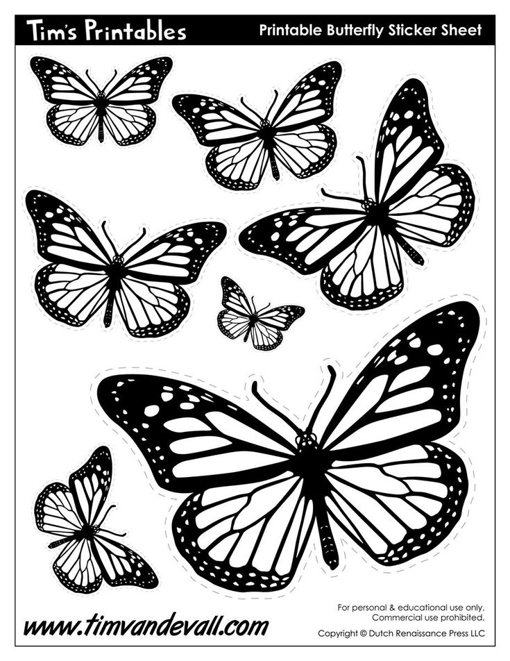 Butterfly Templates Tim s Printables Butterfly Stencil Butterfly