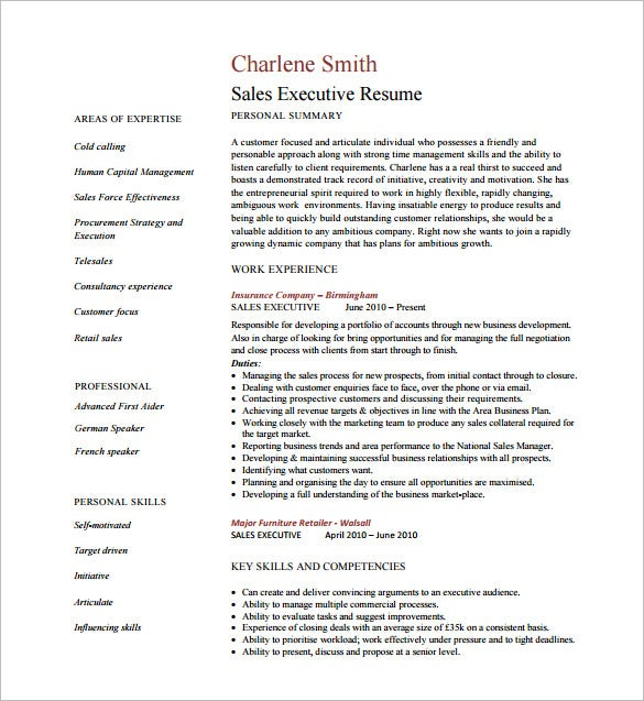 Executive Resume Template 14 Free Word Excel PDF Format Download