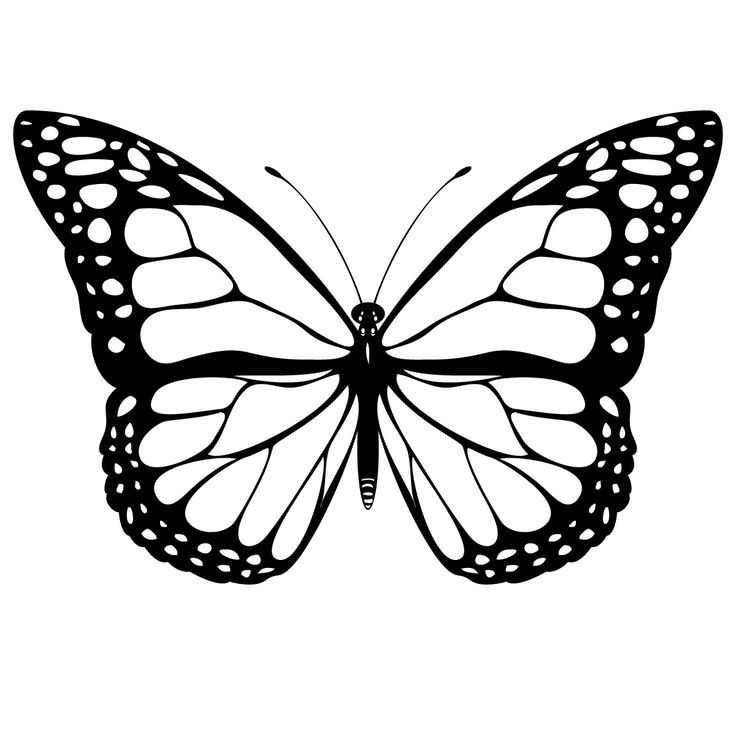 Free Butterfly Template Everything Printable Coloring Home