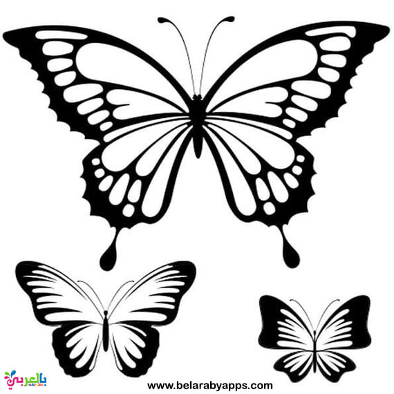 Free Printable Butterfly Templates Different Size Butterflies 