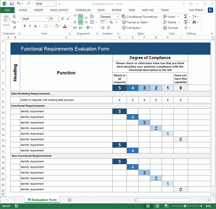 Functional Requirements Specification MS Word Excel Template