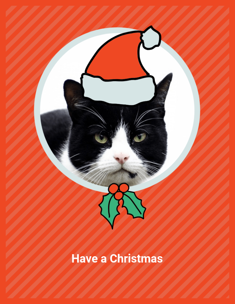 Funny Cat Christmas Card Template