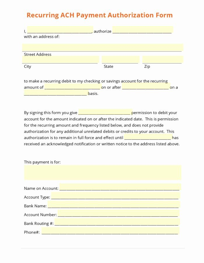 Payment Request Form Template Awesome Ach Payment Authorization Form