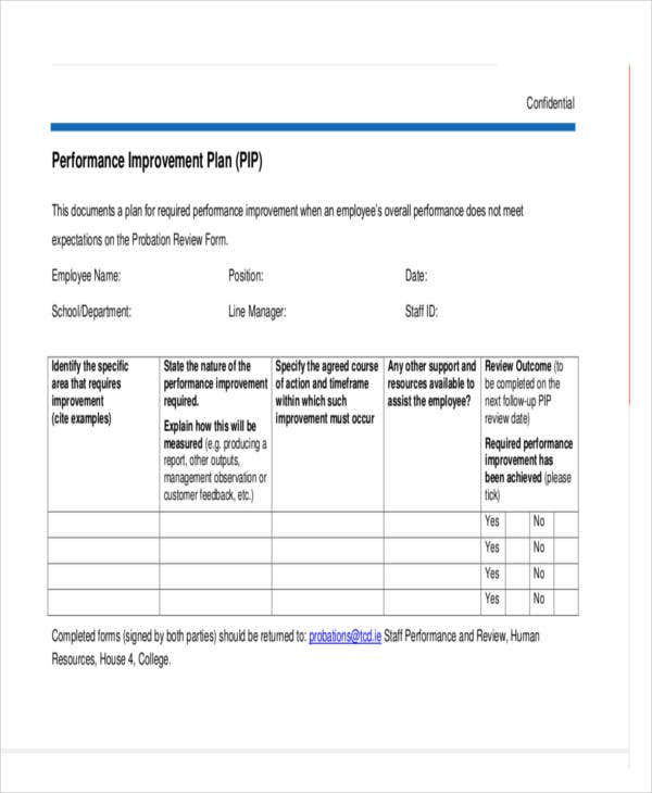 Performance Action Plan Template 8 Free Word PDF Format Download 