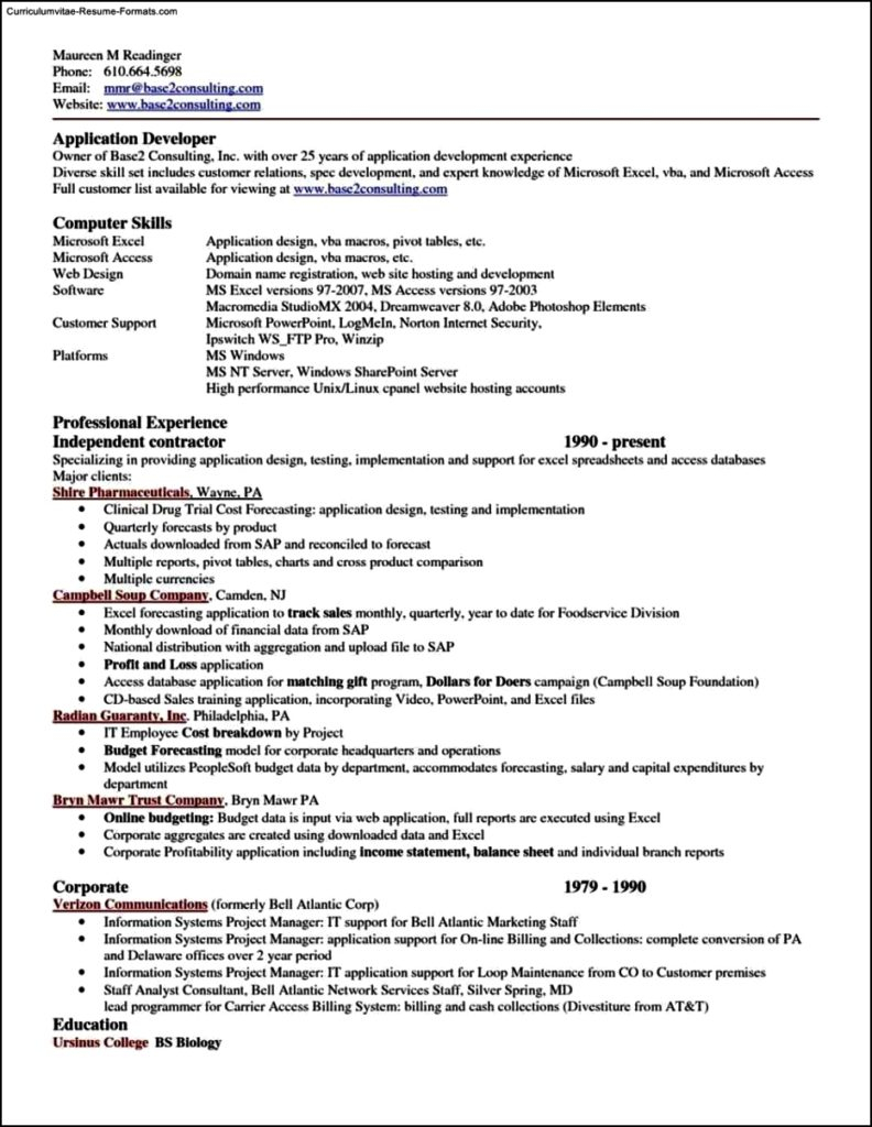 Resume Excel Template Free Samples Examples Format Resume 