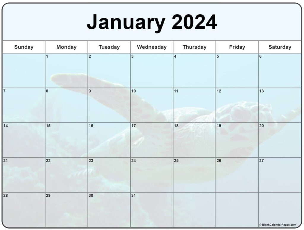 January 2024 Bir Calendar Cool Latest Incredible January 2024 
